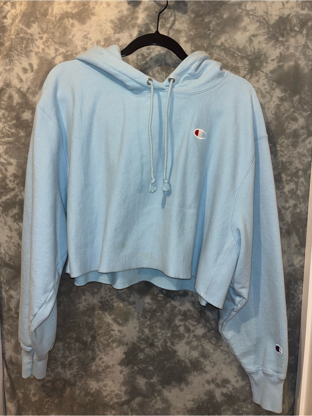 Champion Light Blue Cropped Hoodie Sweatshirt